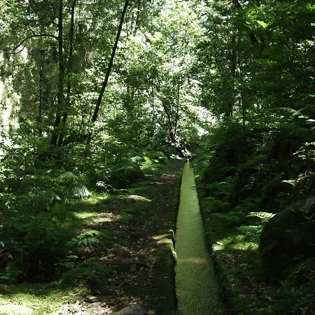 Capuchinhas Apartment Funchal (Madeira)