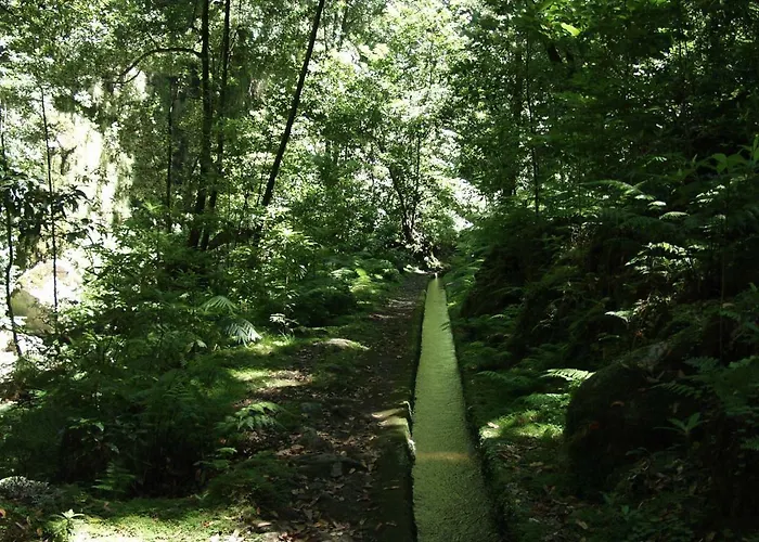 Capuchinhas فونشال